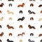 Dachshund long haired seamless pattern. Different poses, coat colors set