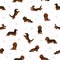 Dachshund long haired seamless pattern. Different poses, coat colors set