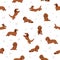 Dachshund long haired seamless pattern. Different poses, coat colors set