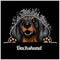 Dachshund - Peeking Dogs - color breed face head isolated on black