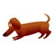 Dachshund playing icon, cartoon style