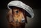 Dachshund puppy baby dog in studio quality mans hat