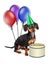 Dachshund Puppy Birthday Party