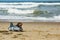 Dachshund Puppy on Cape Cod Beach