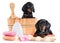 Dachshund puppy in wooden wash basin