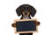 Dachshund sausage dog banner