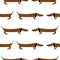 Dachshund. Seamless pattern. It is used for children s products, bedding, wrapping paper.