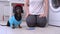 Dachshund sit close to woman knees and washing machine with wrench in mouth