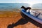 Dachshund sitting on windsurf board at the beach. Cute black doggy is loving surf