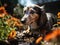 Dachshund watering flowers in garden