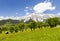 Dachstein and landscape near Ramsau, Austria