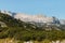 Dachstein massif in Austrian Alps with dwarf mountain pine shrubs