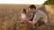 Dad is an agronomist and small child is playing with grain in a bag on wheat field. father farmer plays with little son