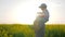 Dad with boy on neck playing into meadow flowers, Happy childhood, daddy and child fooled into blossom in sunlight,