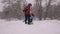 Dad and daughter sled their mom in the winter forest in snowfall. happy parents and baby play in christmas park. Family
