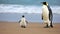 Dad or mom and baby penguin. Father love, bond and parenting concept