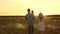 Dad and mom with their beloved daughter in their arms are walking in field at sunset. Happy child plays with mother and