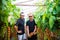 Dad and son check harvest of cherry tomato in greenhouse family business