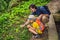 Dad and son identify plants using the application on a smartphone. augmented reality