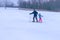 Dad teaches daughter to ski. A skier holds a little girl by the hand and helps to ski. An instructor teaches a child winter sports