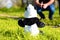 Dad walks with the baby in a panda costume in the park.