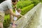 Dad walks with his little daughter in the park with fountains. Baby girl 10 months pulls hands to jets of water in a fountain