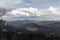 Dadia forest Restoration and Regrowth After Wildfire Evros Greece, mount Parnitha, Rodopi, Euboea Island, Evia, British Columbia,