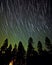 Daed_trees_with_startrails_movement_at_night_sky_1690599556307_3