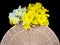 Daffodil bouquet on hand fan