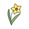 Daffodil color icon