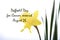 Daffodil Day Greeting