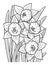 Daffodil Flower Coloring Page for Adults