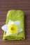 Daffodil Flower on green napkin