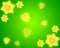 Daffodil green background