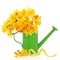Daffodil and Narcissus