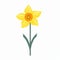 Daffodil Silhouette Vector: Minimalistic Identification Symbol