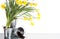 Daffodil still life growing in metal pots