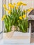 Daffodils in the balcony boxes decorated with angel