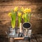 Daffodils and Blank Sign