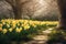 Daffodils blooming. Daffodil flowers bloom at sunset. Flower alley. Selective focus. AI generated