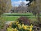 Daffodils blooming in springtime with generic gothic style college buildings