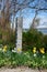 Daffodils are blooming by a square granite post at the end of a driveway near the Westport River in Westport, MA