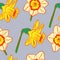 daffodils bright pattern