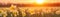 Daffodils Field Blurred Sunrise Banner Background. Generative AI