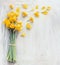 Daffodils flowers bunch with yellow petals. Spring background