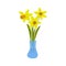 Daffodils flowers in a vase. Narcissus. Vector hand drawn