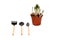 Daffodils and gardening tools. tools for gardening and irrigation flowers isolated. daffodil flowers in a pot