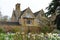 Daffodils, Hidcote Manor Garden, Chipping Campden, Gloucestershire, England