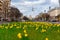 Daffodils on the middle lane of Karl-Marx-Allee in Berlin-Friedrichshain, Germany