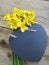 Daffodils with slate heart